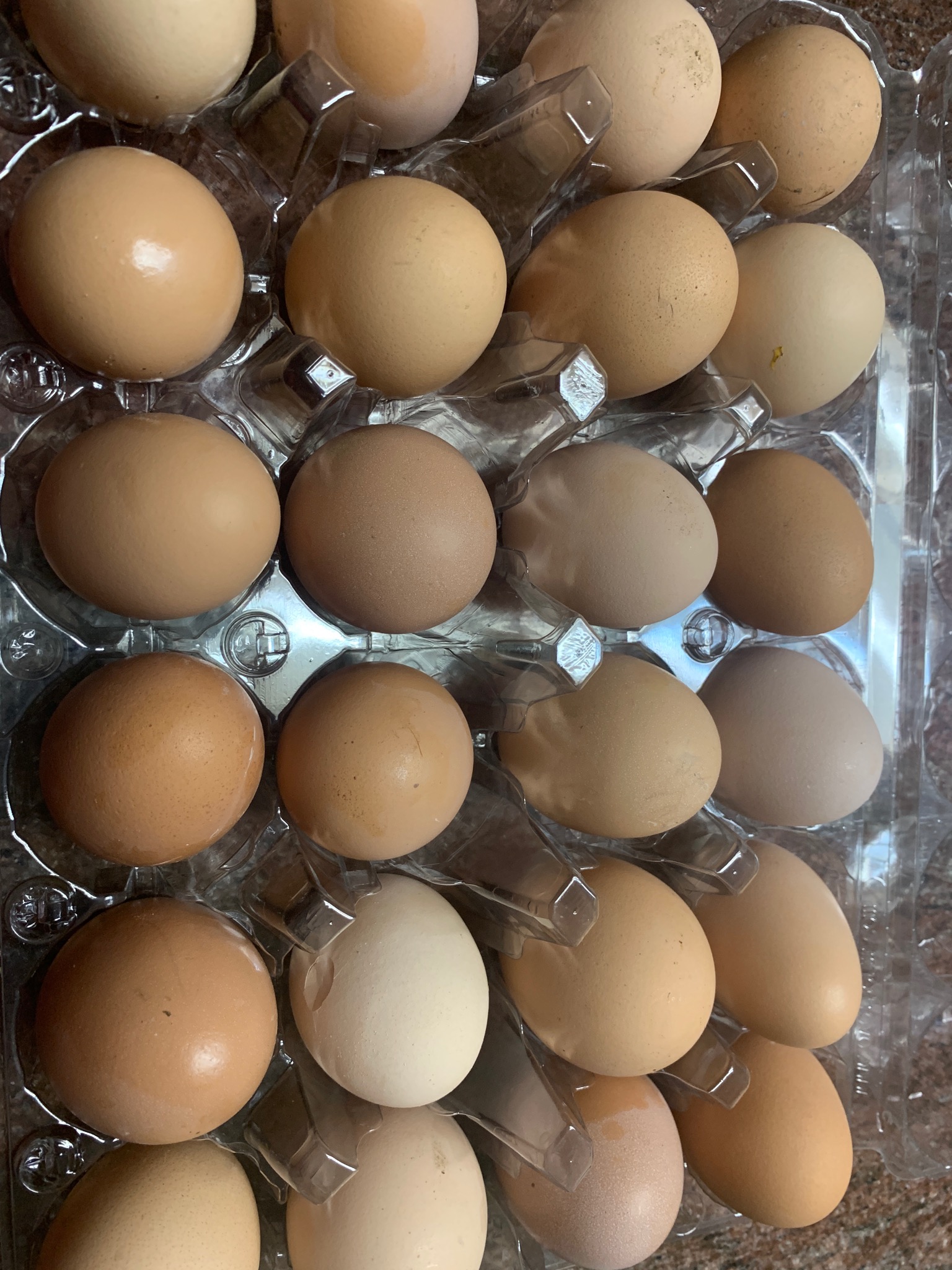 Organic Eggs