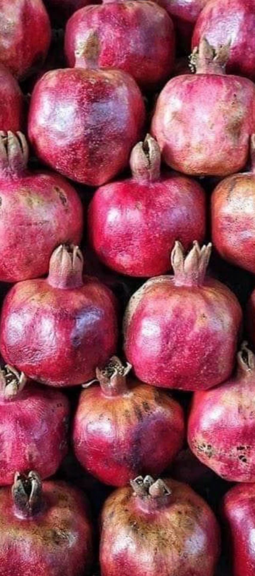 Organic Pomegranates